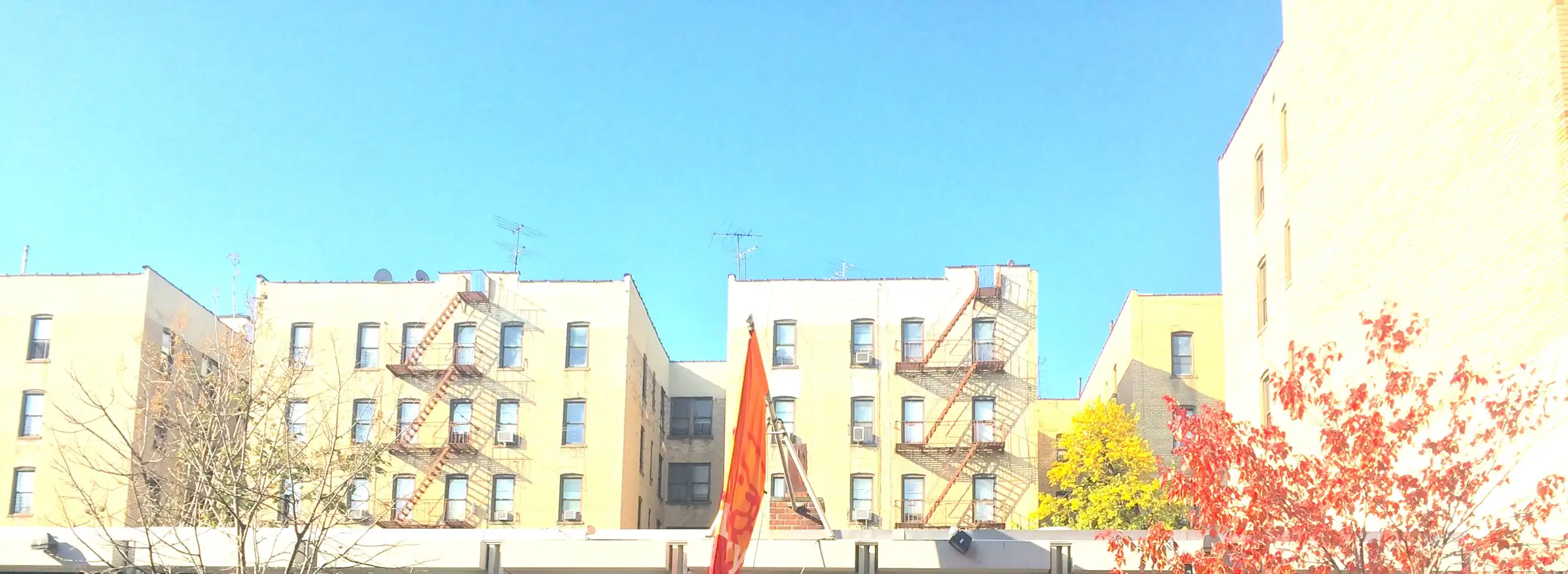 Apartment buildings behind the Pelham Parkway-Van Nest Library on Barnes Avenue, with a red tree under a clear sky