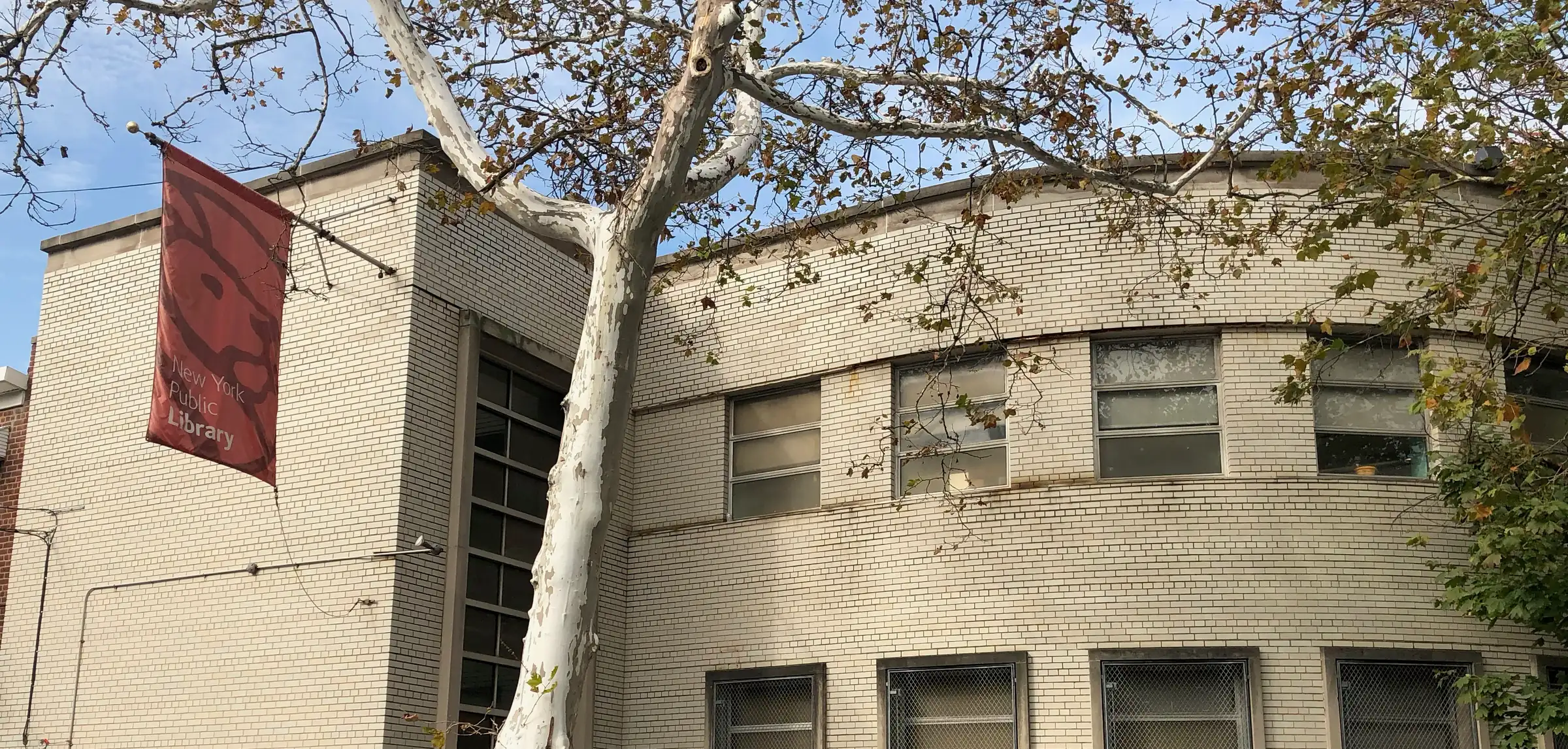The Westchester Square branch of the New York Public Library on Glebe Avenue, with a tall tree in front